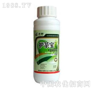 ���u�S��-�o(h��)�茚