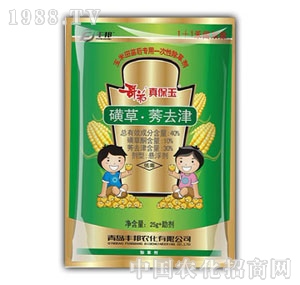 ���u�S��-����汣��