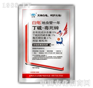 ��������-���x��һ��