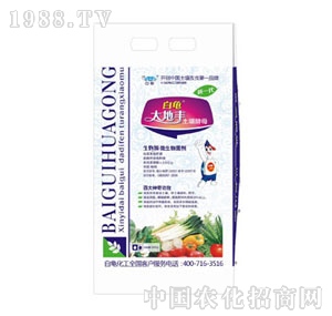 ��������-����S������ĸ