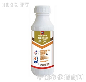 ����-���x18��