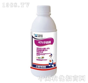 ����-������