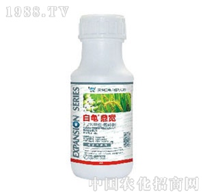 ����-����