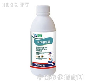 ����-������