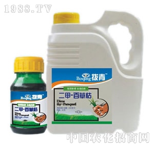 �A�S���r(n��ng)-����