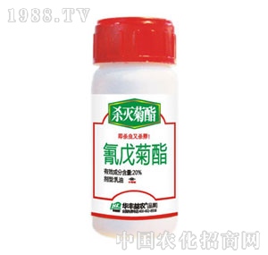 �A�S���r(n��ng)-��������������