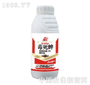 �A�S���r(n��ng)-48%������