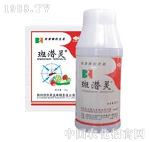 ؐ������-�ߝ��`