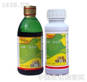 ؐ������-25%�����׶�����