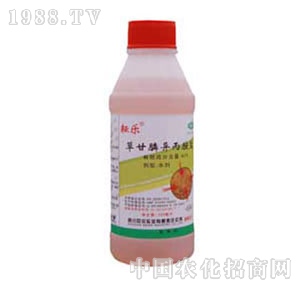 ؐ������-�Ř�(l��)