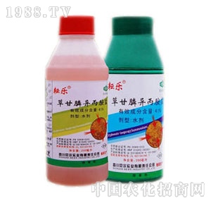 ؐ������-�Ř�(l��)