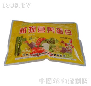 �Č�(sh��)-ֲ��I(y��ng)�B(y��ng)����