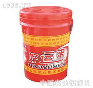 �Č�(sh��)-���\(y��n)��