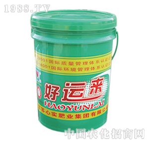 �Č�(sh��)-���\(y��n)��2̖(h��o)