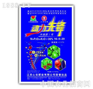 �Č�(sh��)-��(d��ng)�����h