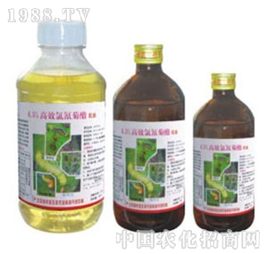 ���G�̌�-4.5%�������