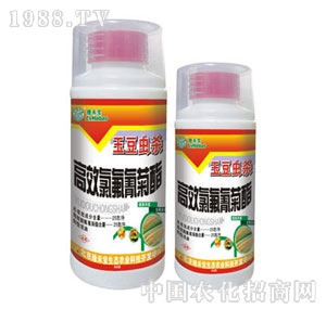 ���G�̌�-���x��