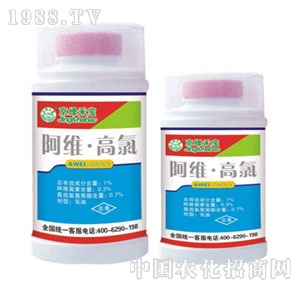 ���G�̌�-���S����