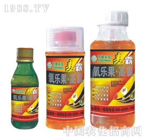 ���G�̌�-����