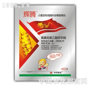 �������-�x�v