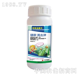 �������-�⚢ȫ����