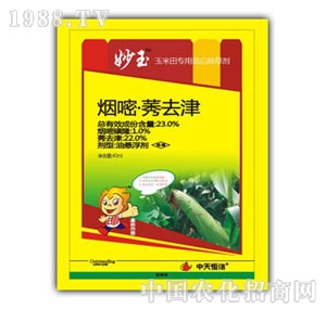 �������-����