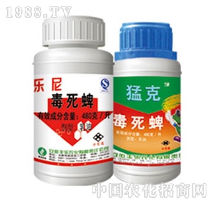 �S���r(n��ng)��-������