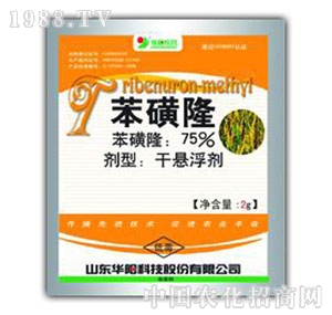 �A�-75%����¡�ɑҸ���