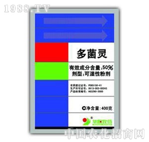 �A�-50%����`�ɝ��Էۄ�