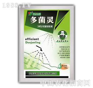 �A�-50%����`�ɝ�ۄ�