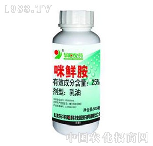 �A�-25%���r������