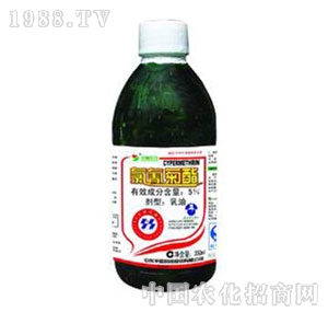 �A�-5%�����������