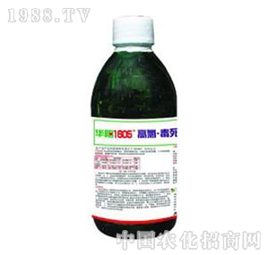 �A�(y��ng)-1605