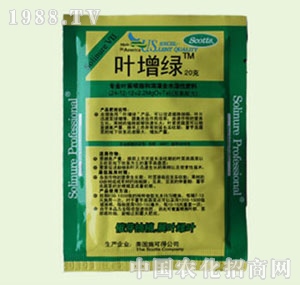 �̴T�S-�~���G