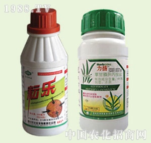 �̴T�S-�Ř�(l��)���P(y��ng)