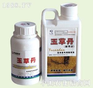 �̴T�S-��ݵ�