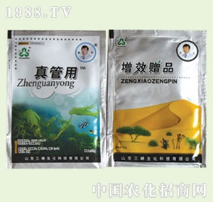 �̴T�S-�����