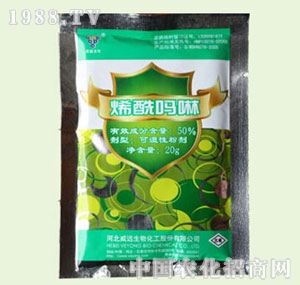 �̴T�S-50%ϩ������