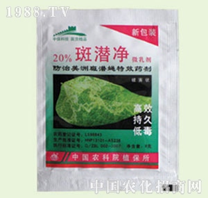 �̴T�S-�ߝ���