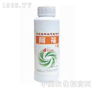 ���A��(qi��ng)-����3̖(h��o)