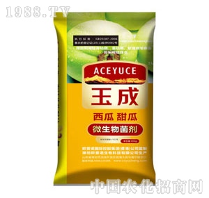 ���΢���������������ϣ�