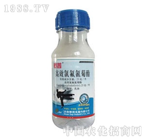 ِ��-����ˮ��