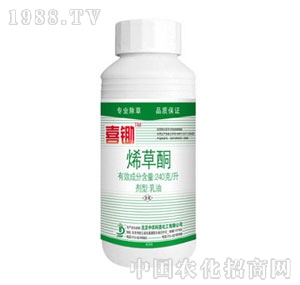 ���r����-ϲ�z