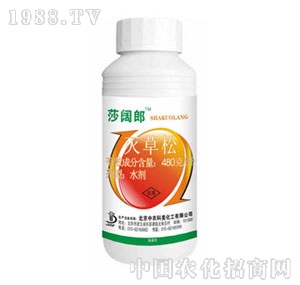 ���r����-ɯ���