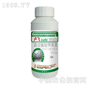 ���r����-�J�w