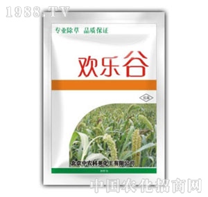 ���r����-�g����