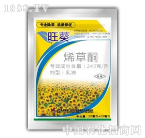 ���r����-����