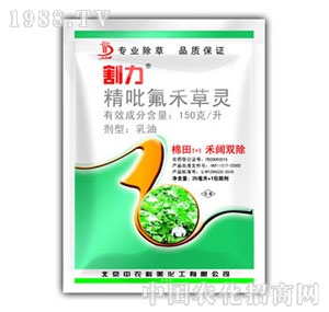 ���r����-����