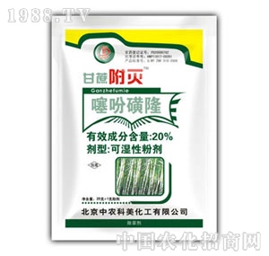 ���r����-���ḽ��