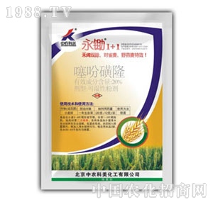 ���r����-���z1+1